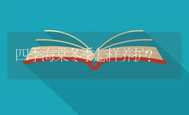 四季海棠冬季怎样养护? | 植物知识