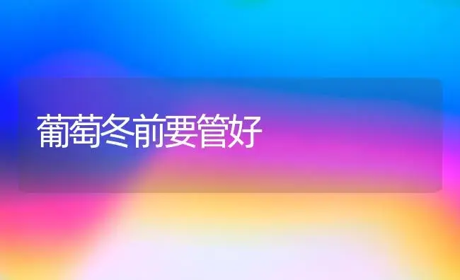 西瓜嫁接的栽培 | 植物百科