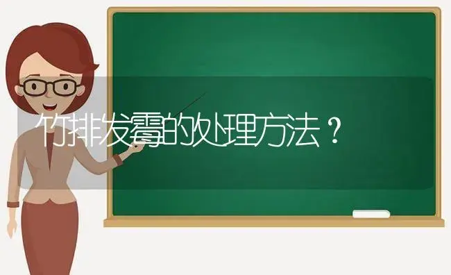 竹排发霉的处理方法？ | 植物问答