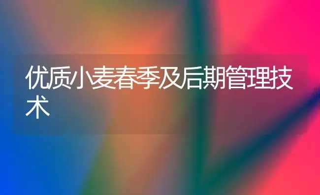 优质小麦春季及后期管理技术 | 植物科普