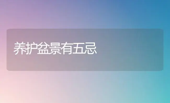 为什么入房过早会影响君子兰开花? | 植物知识