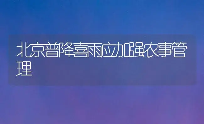 北京普降喜雨应加强农事管理 | 植物百科