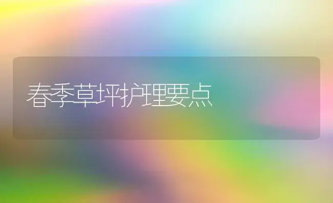 春季草坪护理要点 | 植物科普