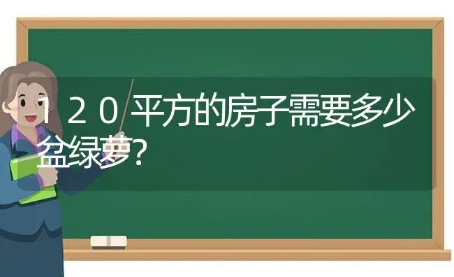 120平方的房子需要多少盆绿萝？ | 植物问答