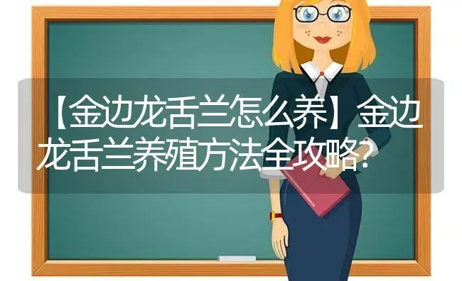 【金边龙舌兰怎么养】金边龙舌兰养殖方法全攻略？ | 植物问答