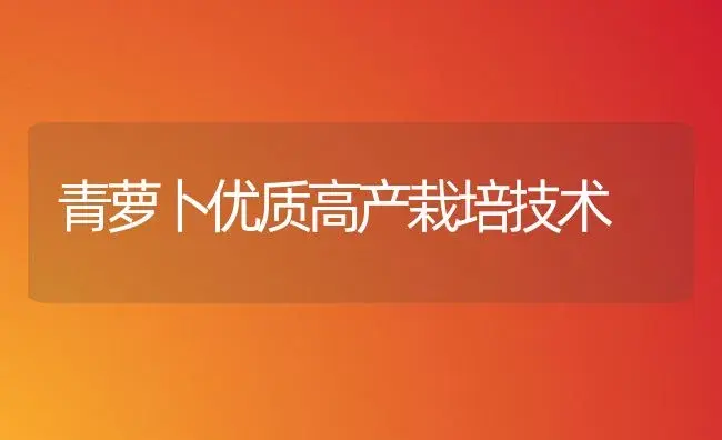 青萝卜优质高产栽培技术 | 植物科普