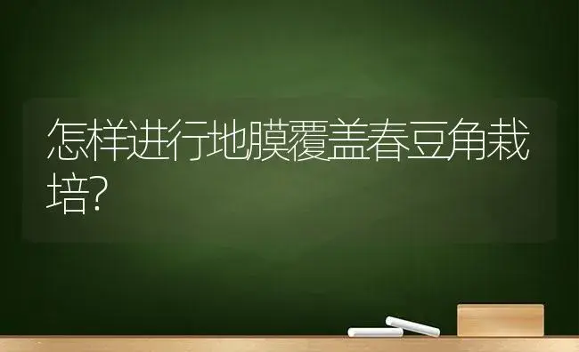 怎样进行地膜覆盖春豆角栽培？ | 植物科普