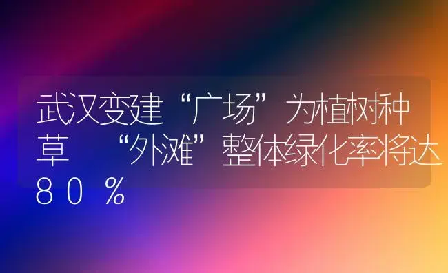 武汉变建“广场”为植树种草 “外滩”整体绿化率将达80％ | 植物知识