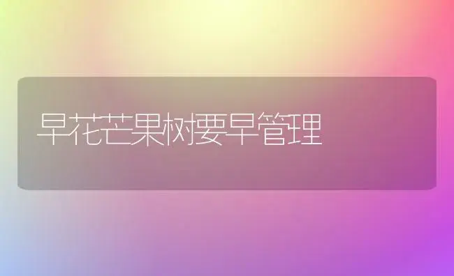 早花芒果树要早管理 | 植物科普
