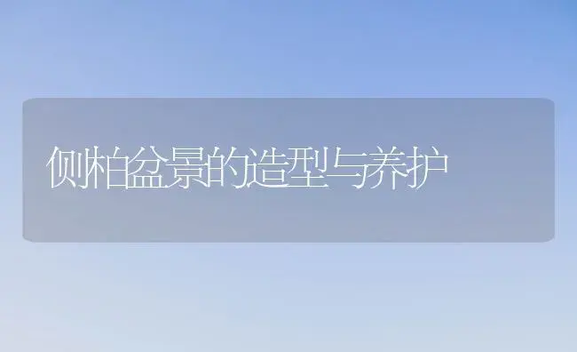 春播土豆高产选种管理科学 | 植物科普