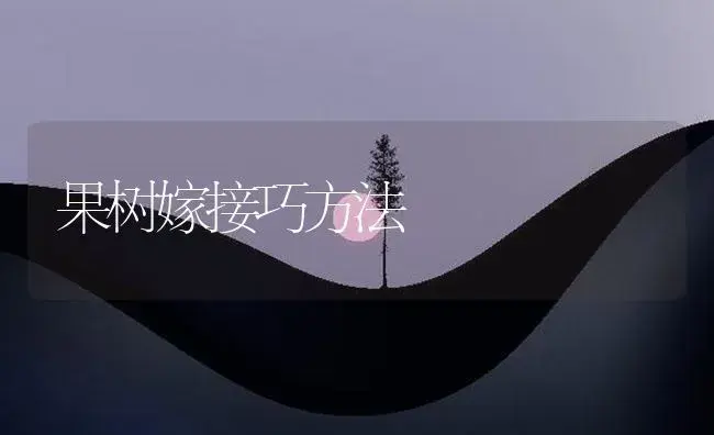 果树嫁接巧方法 | 植物百科