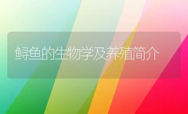 鲟鱼的生物学及养殖简介 | 植物科普