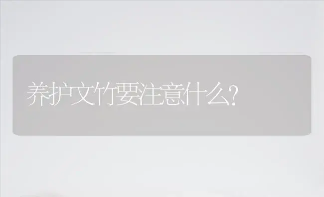 养护文竹要注意什么？ | 植物科普