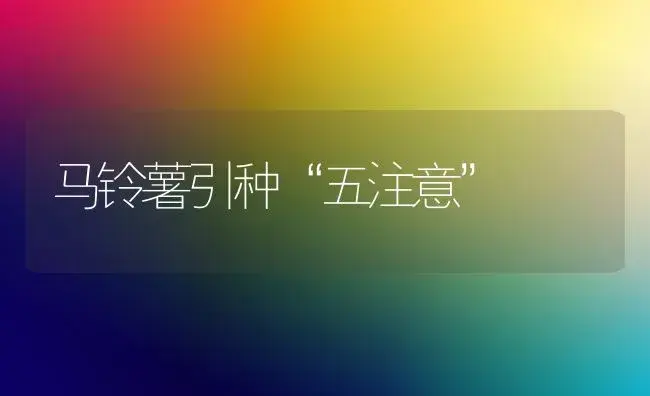 马铃薯引种“五注意” | 植物百科