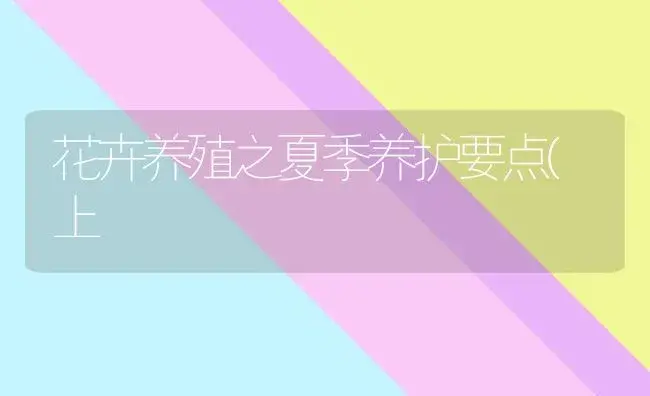 花卉养殖之夏季养护要点(上 | 植物科普