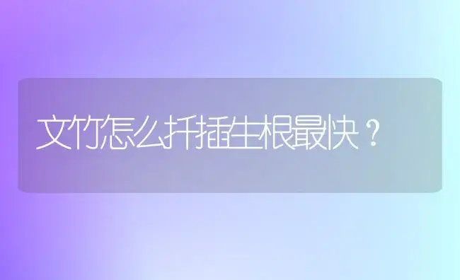 文竹怎么扦插生根最快？ | 植物问答