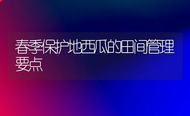 红蕉的养殖方法 红蕉的栽培管理技术 | 植物科普