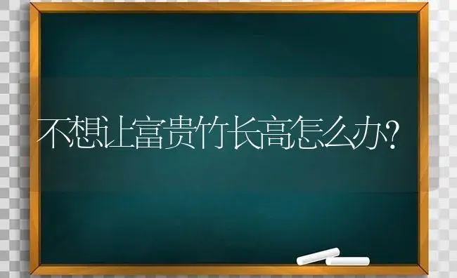 不想让富贵竹长高怎么办？ | 植物问答