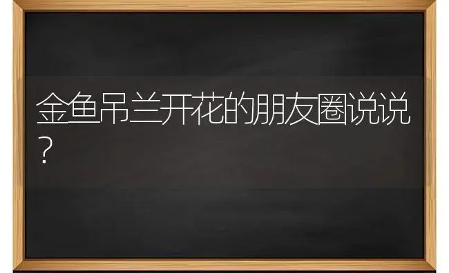 金鱼吊兰开花的朋友圈说说？ | 植物问答