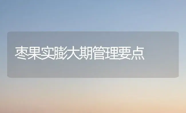 枣果实膨大期管理要点 | 植物科普