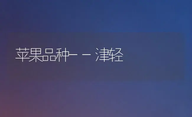 苹果品种--津轻 | 植物科普