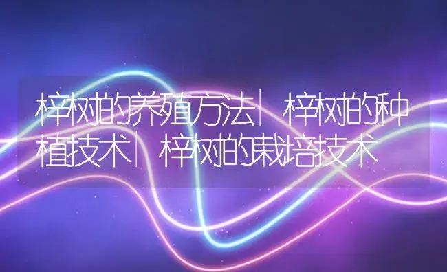 梓树的养殖方法|梓树的种植技术|梓树的栽培技术 | 植物知识