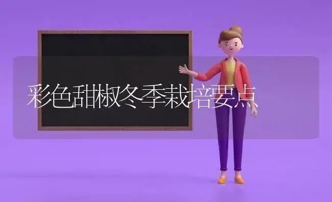 彩色甜椒冬季栽培要点 | 植物科普