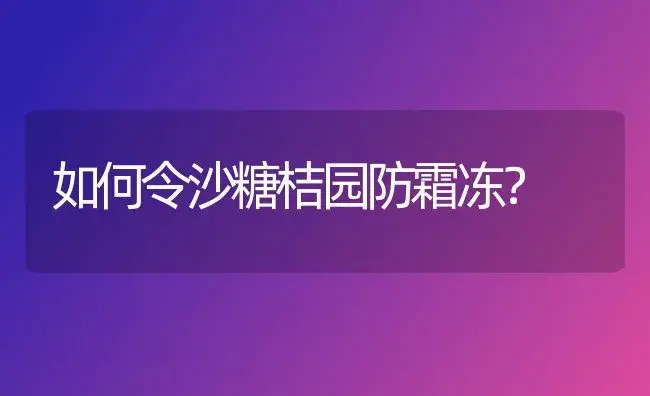 如何令沙糖桔园防霜冻？ | 植物科普