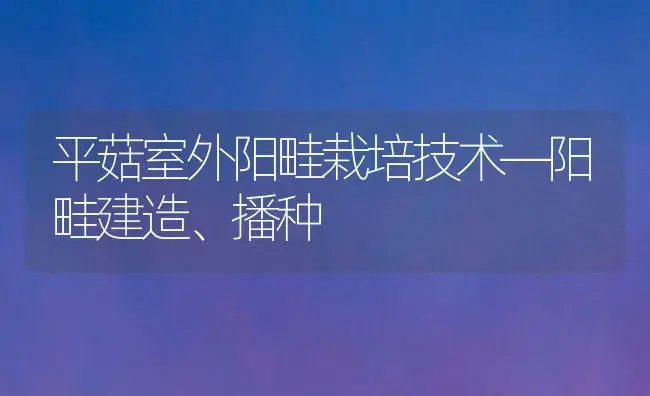 平菇室外阳畦栽培技术―阳畦建造、播种 | 植物科普