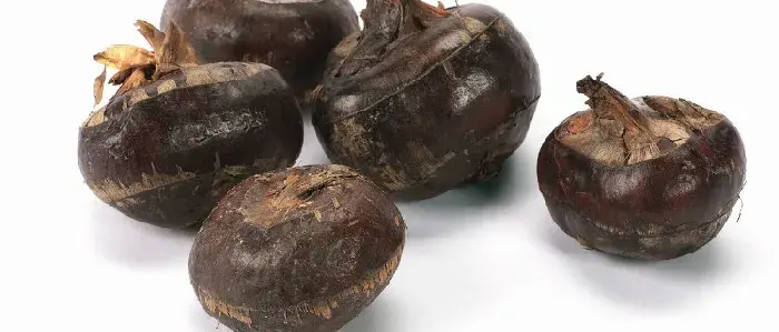 马蹄是属于水果还是蔬菜