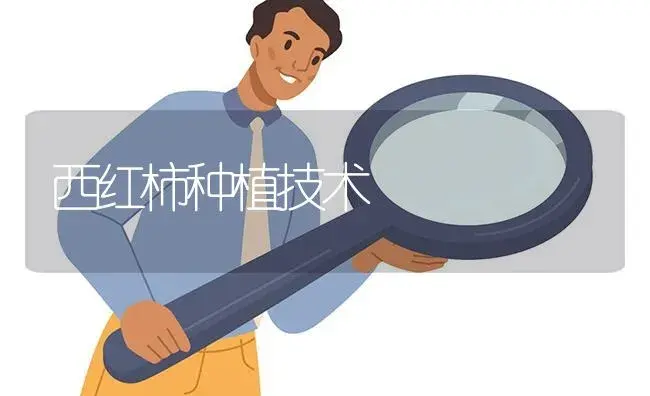 丽穗凤梨的养殖方法 丽穗凤梨的品种介绍 | 植物百科