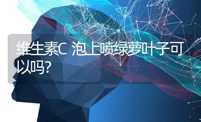 维生素C泡上喷绿萝叶子可以吗？ | 植物问答