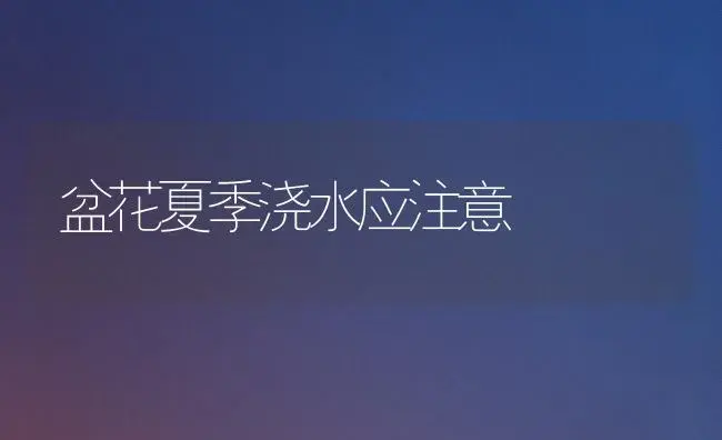 盆花夏季浇水应注意 | 植物科普