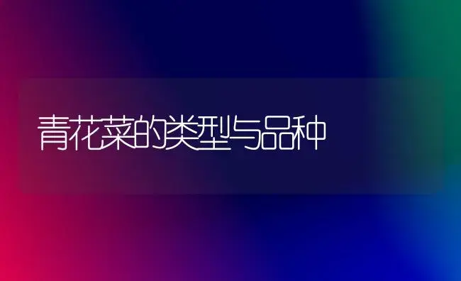 青花菜的类型与品种 | 植物科普