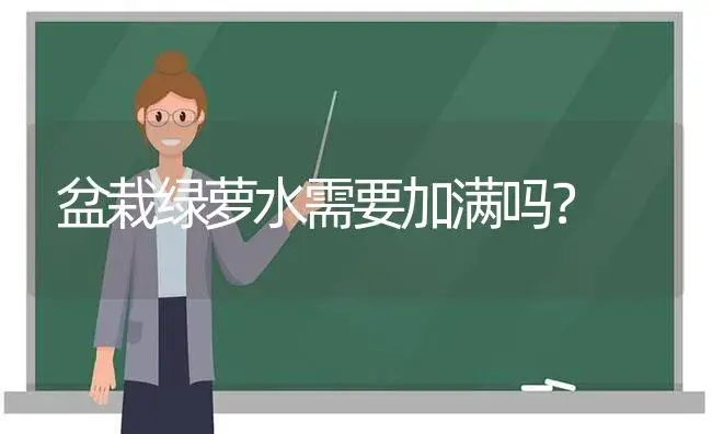 盆栽绿萝水需要加满吗？ | 植物问答