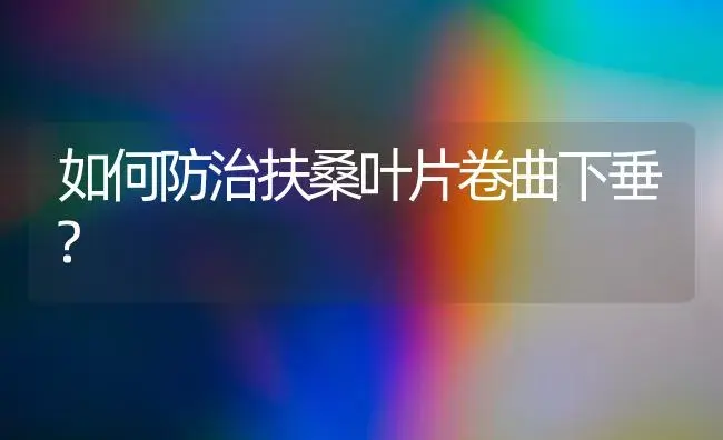 如何防治扶桑叶片卷曲下垂? | 植物知识