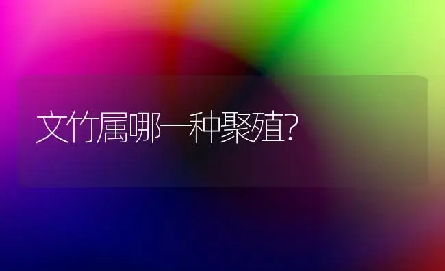 云竹适合放在卧室里面吗？ | 植物问答