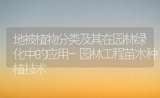 地被植物分类及其在园林绿化中的应用-园林工程苗木种植技术 | 植物科普