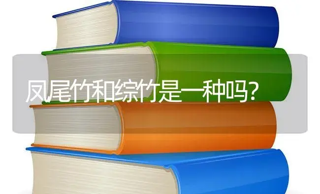 凤尾竹和综竹是一种吗？ | 植物问答