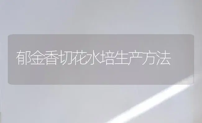 郁金香切花水培生产方法 | 植物知识