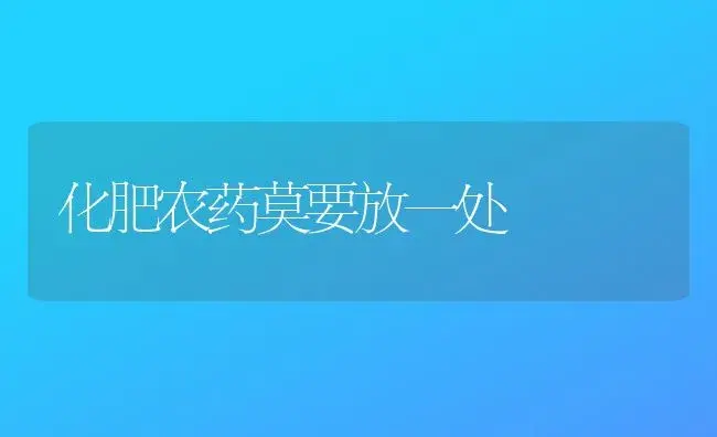 白玉兰图片-白玉兰的种植技术-白玉兰的栽培技术-白玉兰的养殖方法 | 植物科普