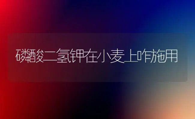 磷酸二氢钾在小麦上咋施用 | 植物科普