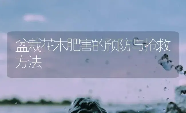 红掌的栽培 | 植物知识