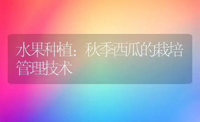 水果种植：秋季西瓜的栽培管理技术 | 植物科普