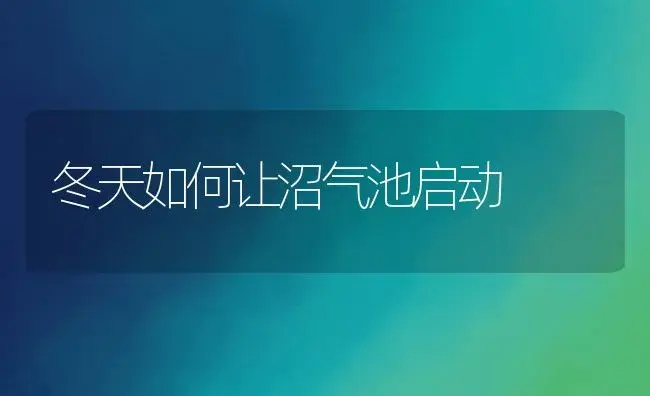 冬天如何让沼气池启动 | 植物资料