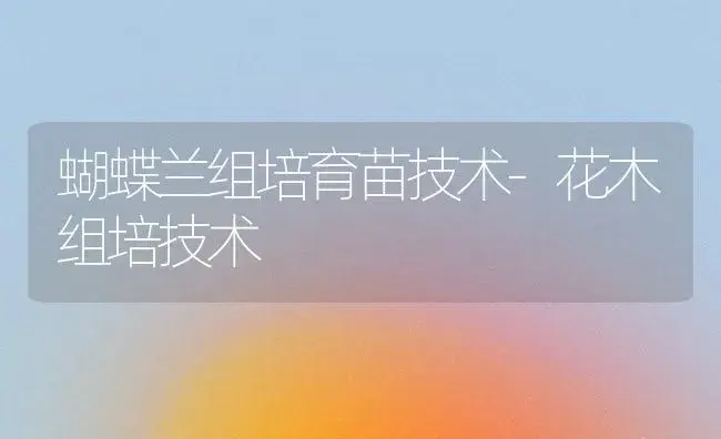 蝴蝶兰组培育苗技术-花木组培技术 | 植物知识