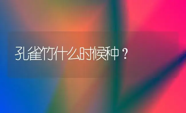 孔雀竹什么时候种？ | 植物问答