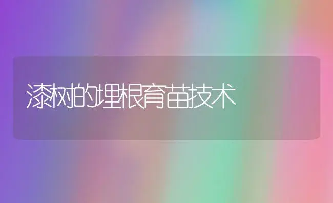 漆树的埋根育苗技术 | 植物知识
