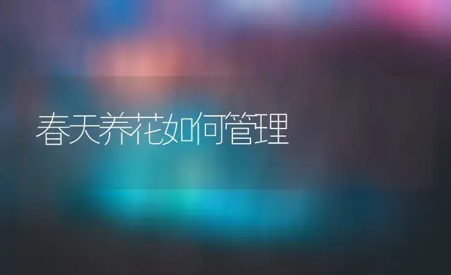 春天养花如何管理 | 植物科普