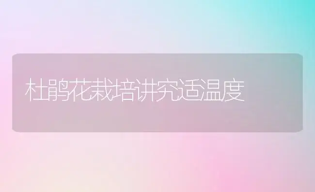 杜鹃花栽培讲究适温度 | 植物科普